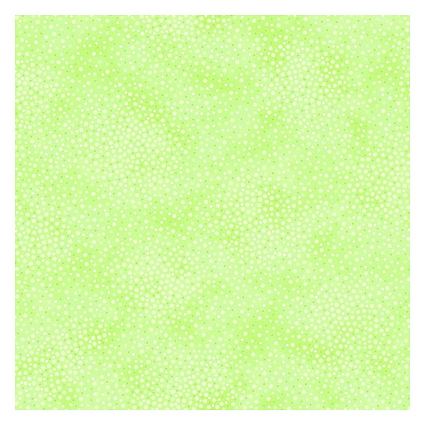 Spotsy
