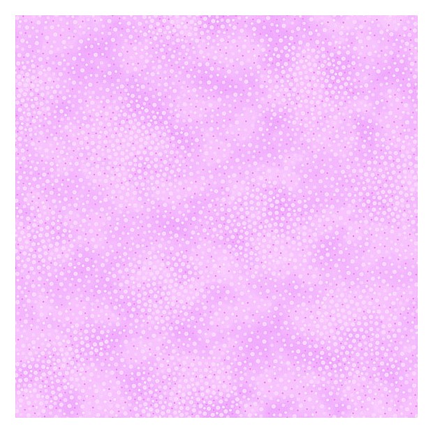 Spotsy