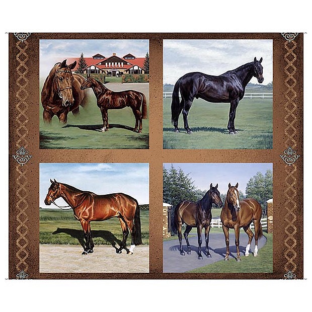 Horse Country