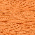 Cosmo 25 Embroidery 100% cotton 8m 2402