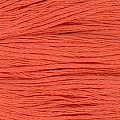 Cosmo 25 Embroidery 100% cotton 8m 343
