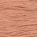 Cosmo 25 Embroidery 100% cotton 8m 462