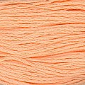 Cosmo 25 Embroidery 100% cotton 8m 750