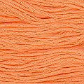 Cosmo 25 Embroidery 100% cotton 8m 752