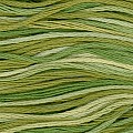 Cosmo 80 Seasons 100% cotton 8m 8016