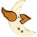 Flying Moon
