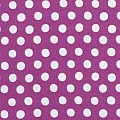 Spot