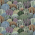 Watermelons
