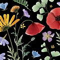 Wildflowers