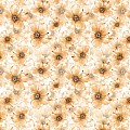 Blossom