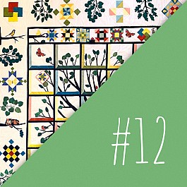 Diversitree Block of the Month Nr. 12 B
