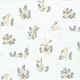 Bunny Dreams