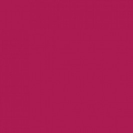 Procion Fiber Reactive Dye 56 g Fuchsia Red