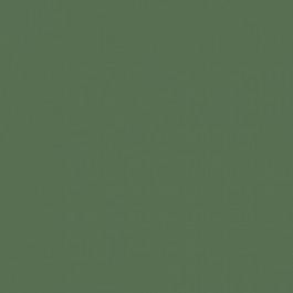 Procion Fiber Reactive Dye 56g Olive Dab