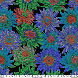 Tropical Water Lilies