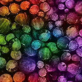 Radical Rainbow