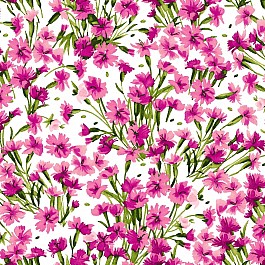 Bloom On!