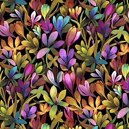 Color Cruch
