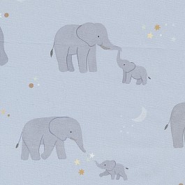 To the Moon and Back