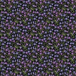 Fleurs