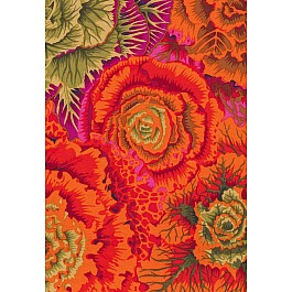 Brassica