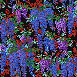 Wisteria