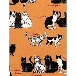 Cats
