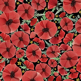 Wildflowers