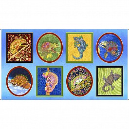 Colorful Chameleons