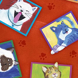 Cat Chat