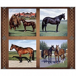 Horse Country