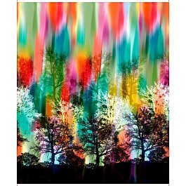 Tree Dance