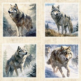 Running With the Pack