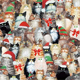 Meowy Christmas